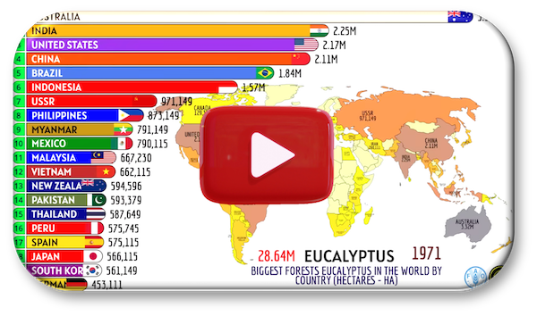 Countries with the largest collection or eucalyptus trees